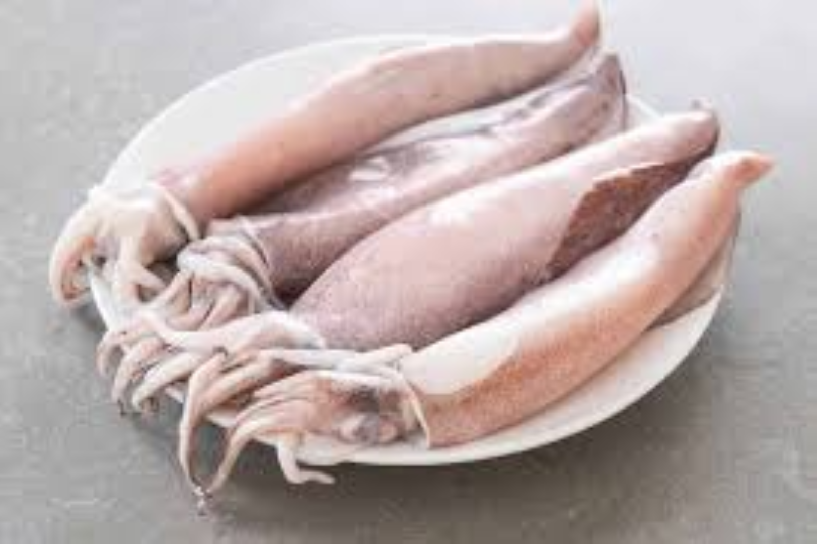 ALPHA SQUID SMALL ASST 500G